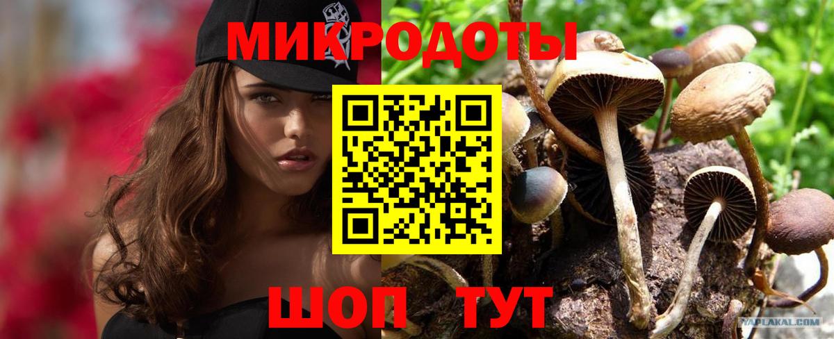 Псилоцибиновые грибы мицелий Коркино
