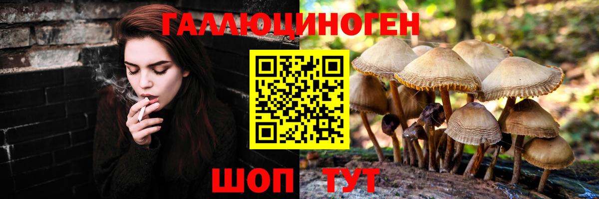 Коркино  Псилоцибиновые грибы Psilocybe  Вход с VPN  Галлюциногенные грибы MAGIC MUSHROOMS 